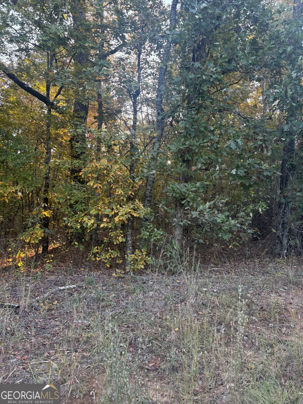105 Magnolia DR NW Milledgeville, GA 31061
