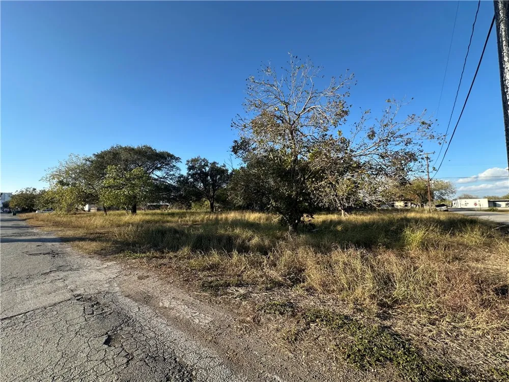 313 Burton Woodsboro, TX 78393