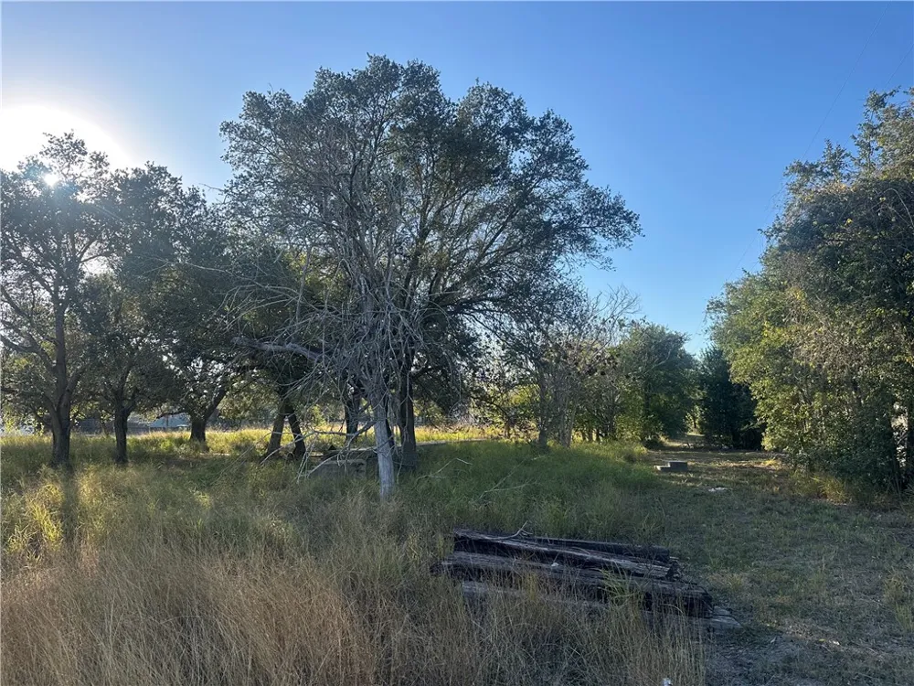 313 Burton Woodsboro, TX 78393