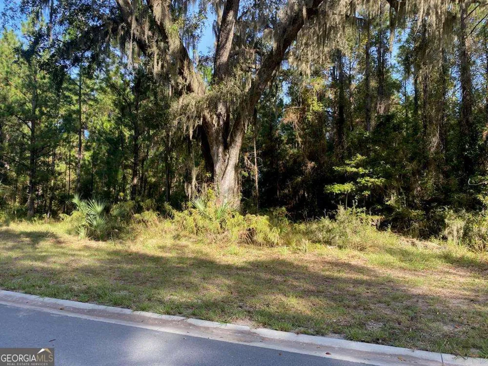 LOT 141 Beacon Pointe PKWY Waverly, GA 31565