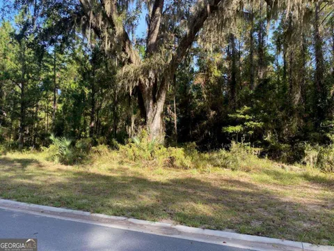 LOT 141 Beacon Pointe PKWY