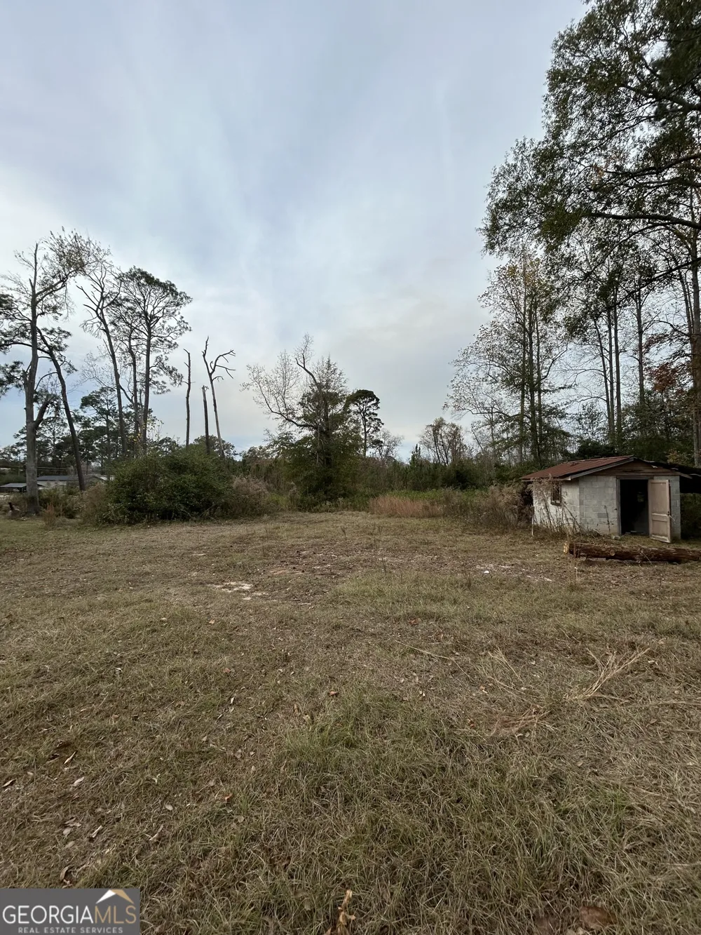 0 Center AVE McRae, GA 31055