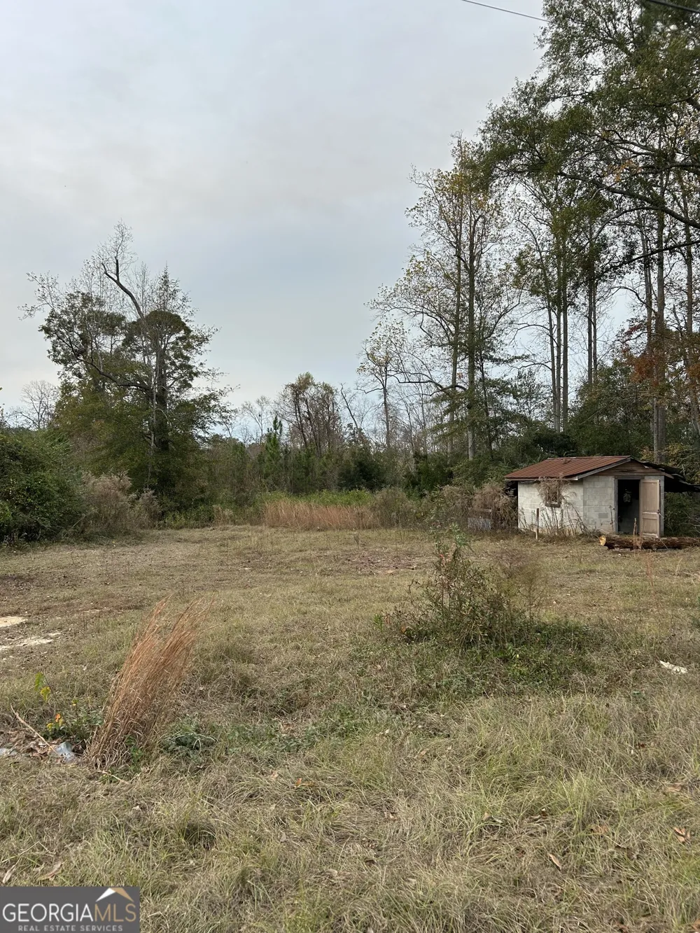 0 Center AVE McRae, GA 31055
