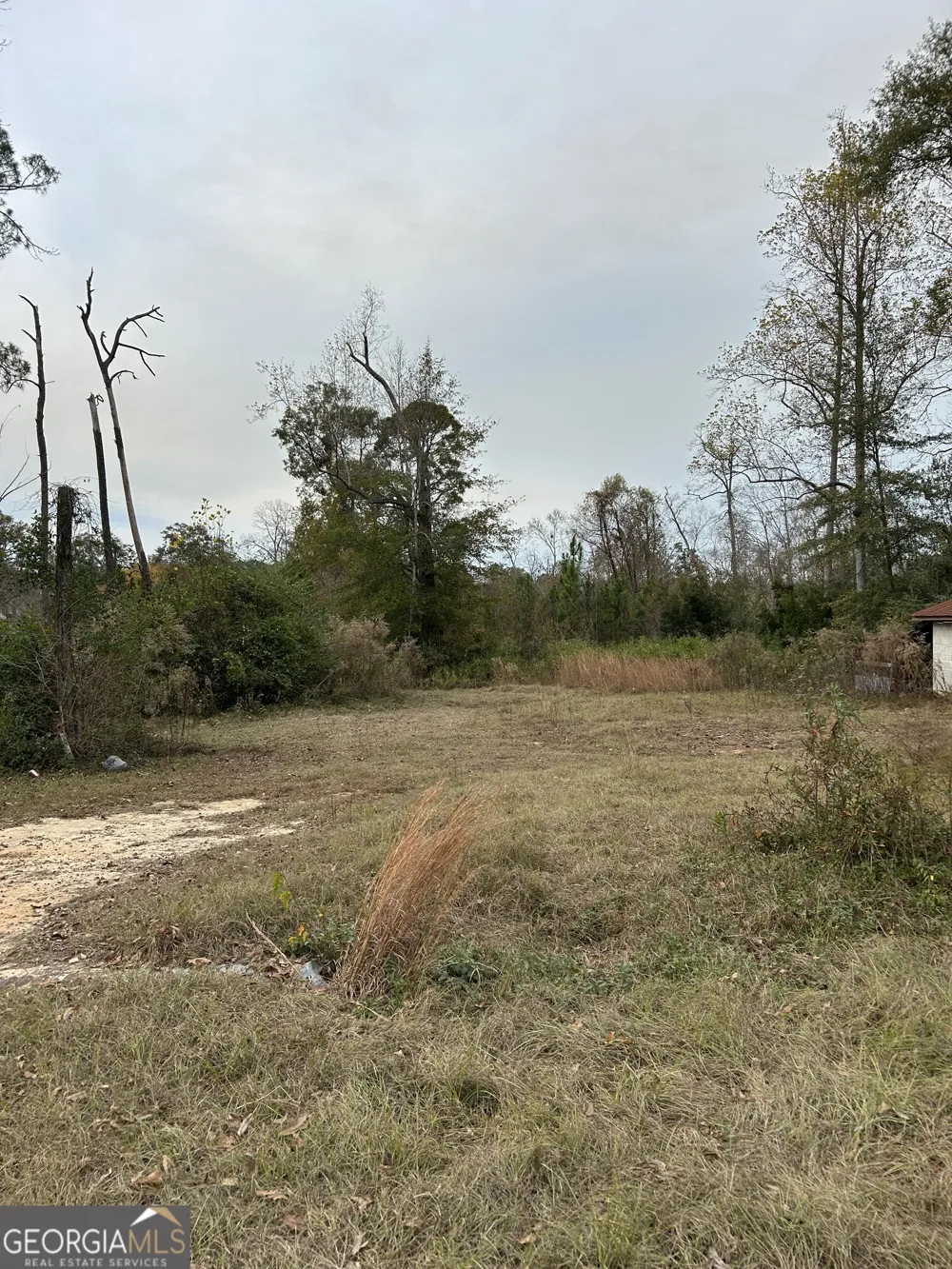 0 Center AVE McRae, GA 31055