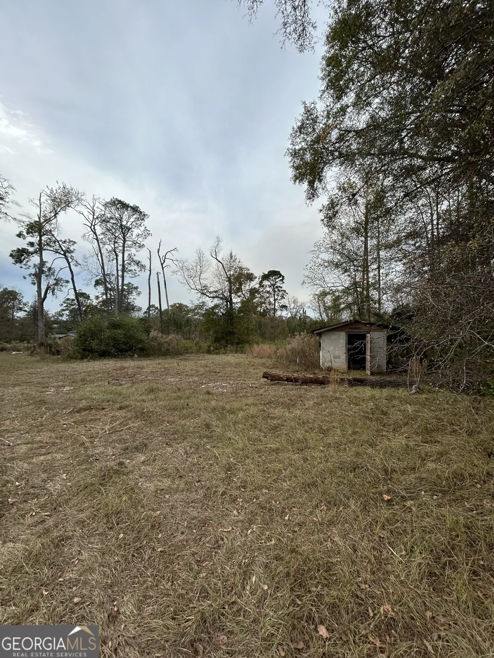 0 Center AVE McRae, GA 31055