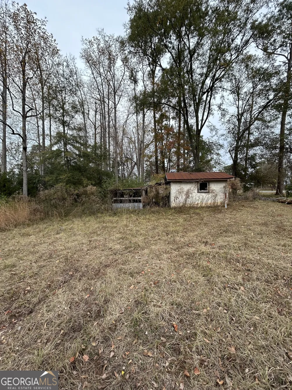 0 Center AVE McRae, GA 31055