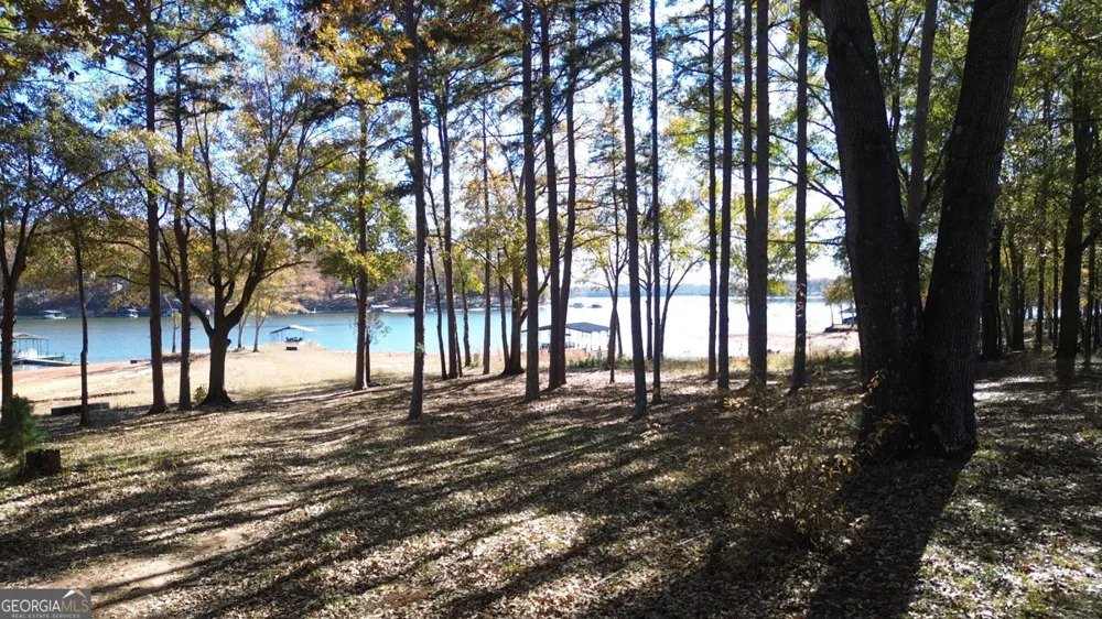 410 Cedar ST Lavonia, GA 30553