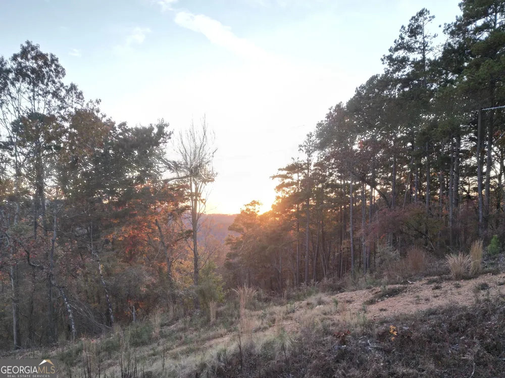 0 Canoe WAY Talking Rock, GA 30175