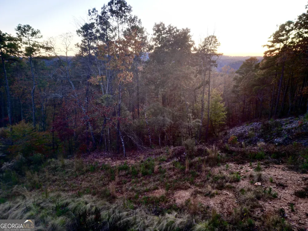 0 Canoe WAY Talking Rock, GA 30175