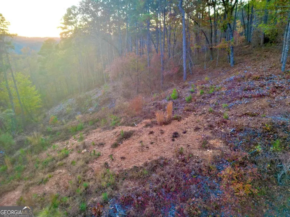 0 CANOE WAY Talking Rock, GA 30175