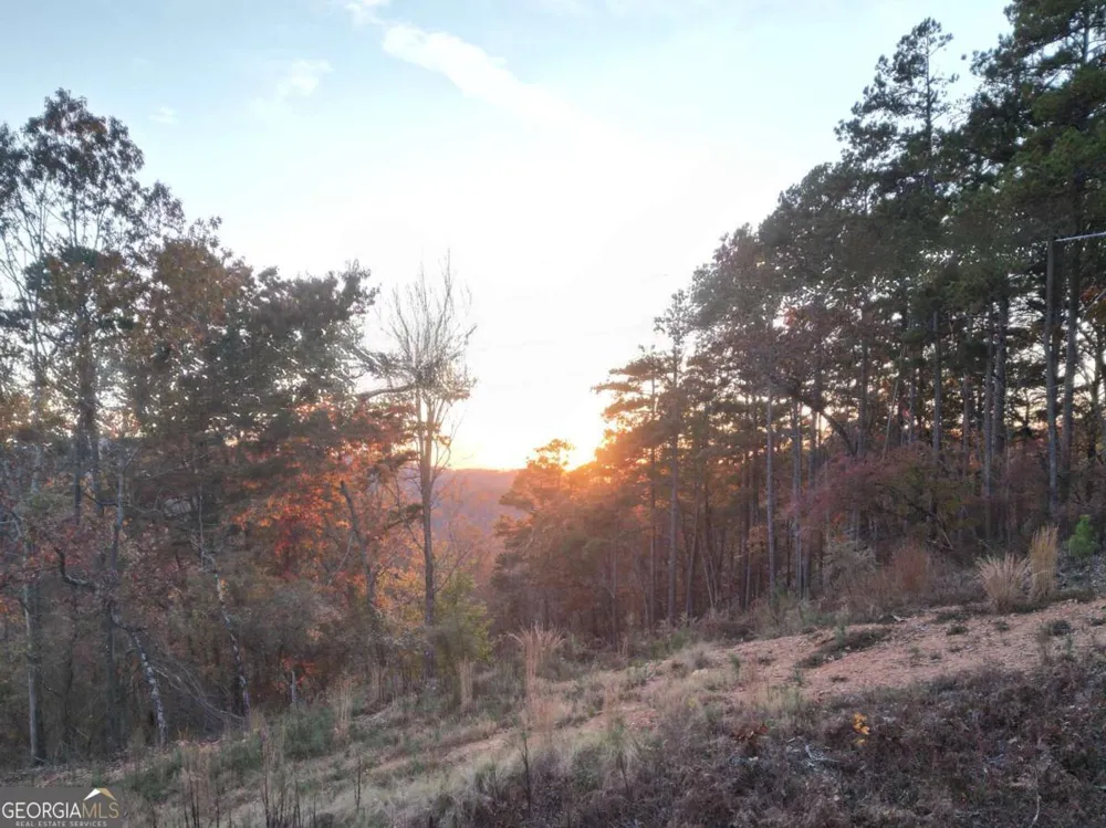 0 CANOE WAY Talking Rock, GA 30175