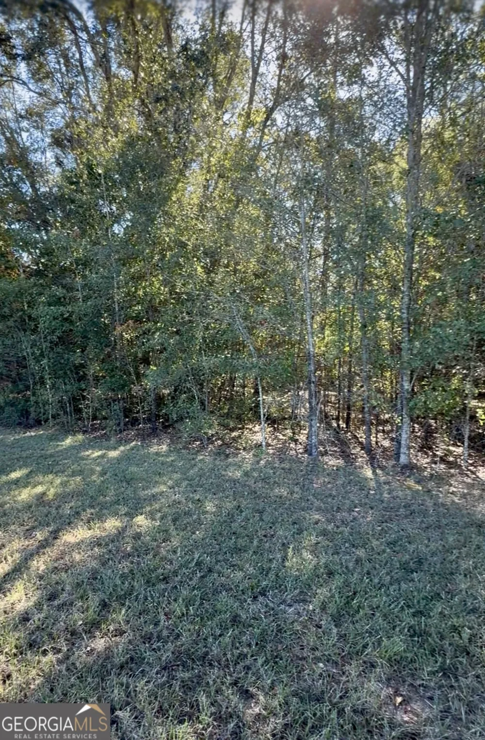 5611 Sweetwater AVE Donalsonville, GA 39845