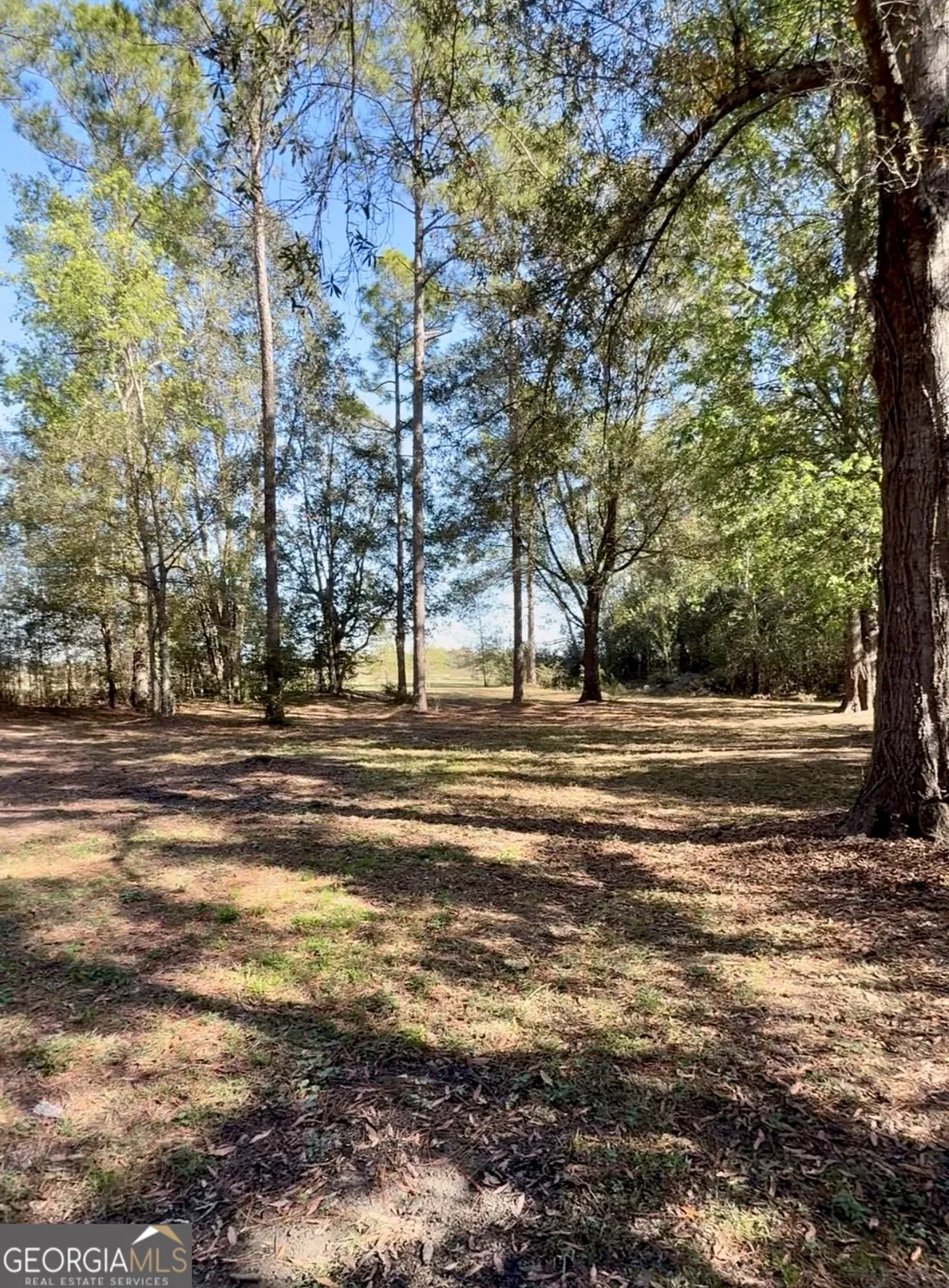 5611 Sweetwater AVE Donalsonville, GA 39845