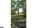 0 Briar Patch LOT 15 PL Townsend, GA 31331
