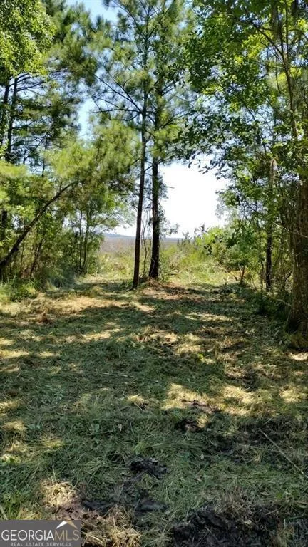 0 Briar Patch Lot#27 PL Townsend, GA 31331