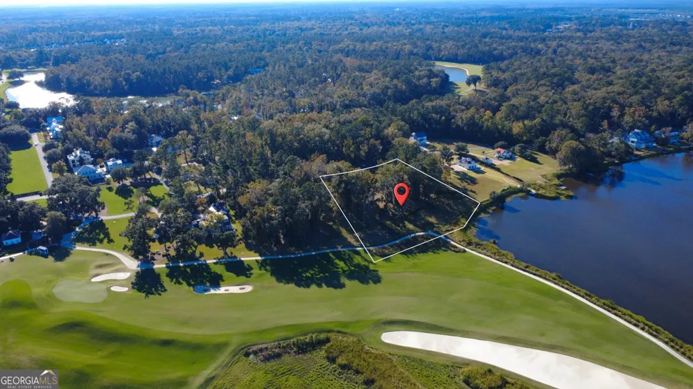 166 Little Lulu LN Richmond Hill, GA 31324