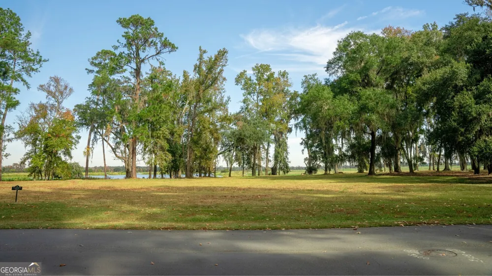 166 Little Lulu LN Richmond Hill, GA 31324