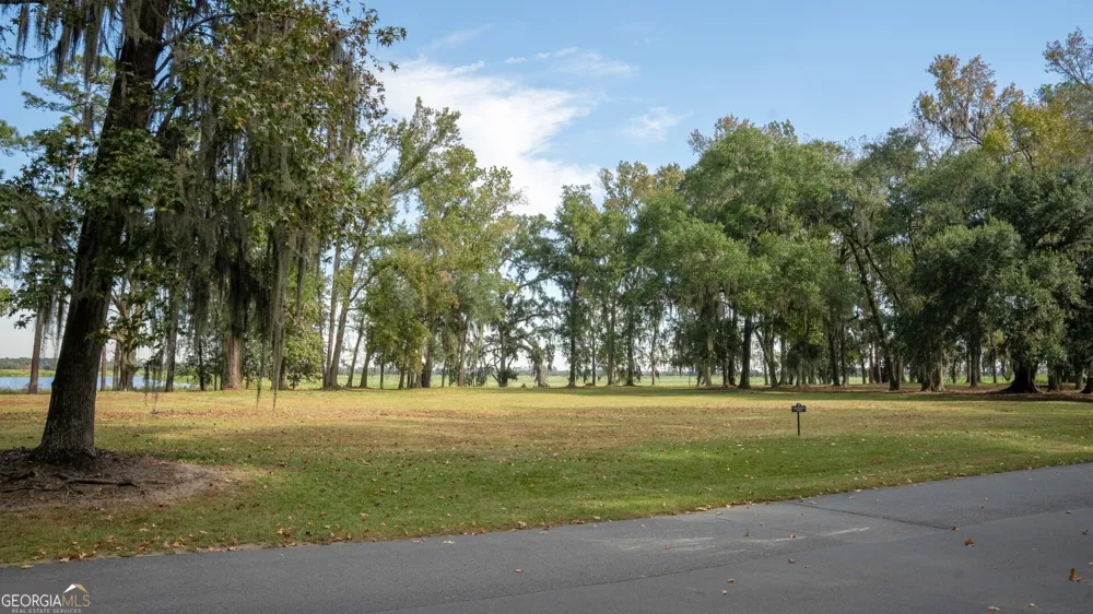 166 Little Lulu LN Richmond Hill, GA 31324