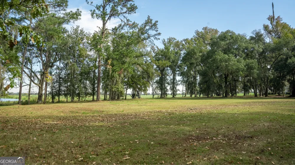 166 Little Lulu LN Richmond Hill, GA 31324