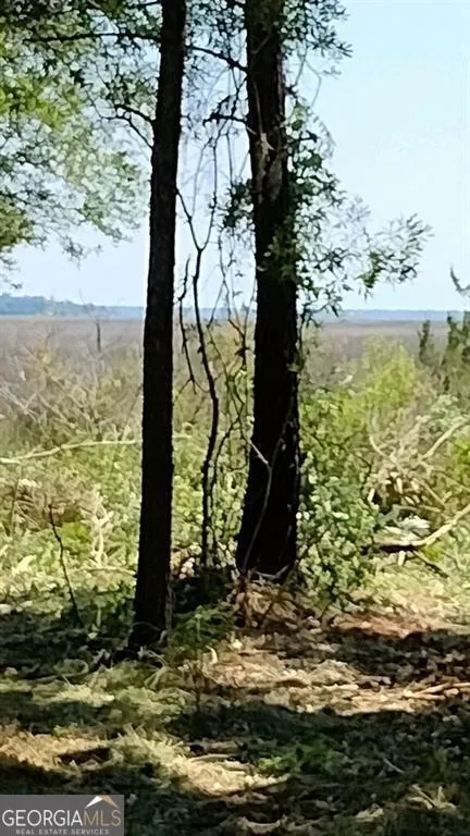 0 Briar Patch LOT 30 PL Townsend, GA 31331