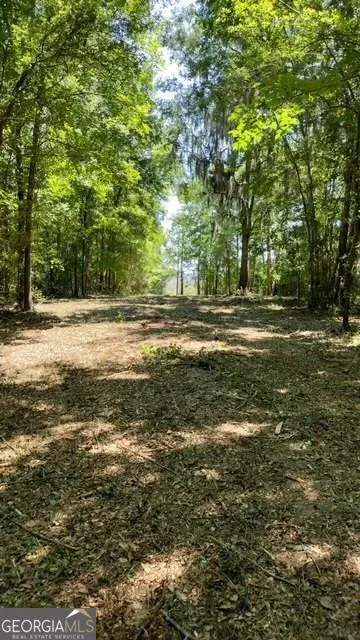 0 Briar Patch LOT 30 PL Townsend, GA 31331