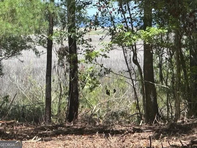 0 Briar Patch LOT 30 PL Townsend, GA 31331