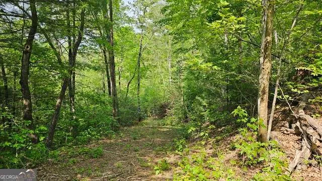 0 Bannockburn CIR Clayton, GA 30525