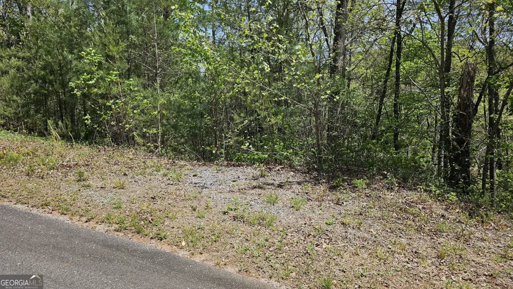 0 Heavenly CIR Clayton, GA 30525