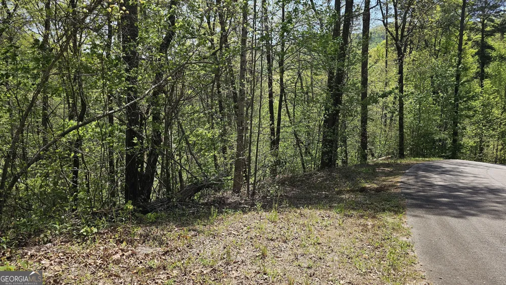 0 Heavenly CIR Clayton, GA 30525