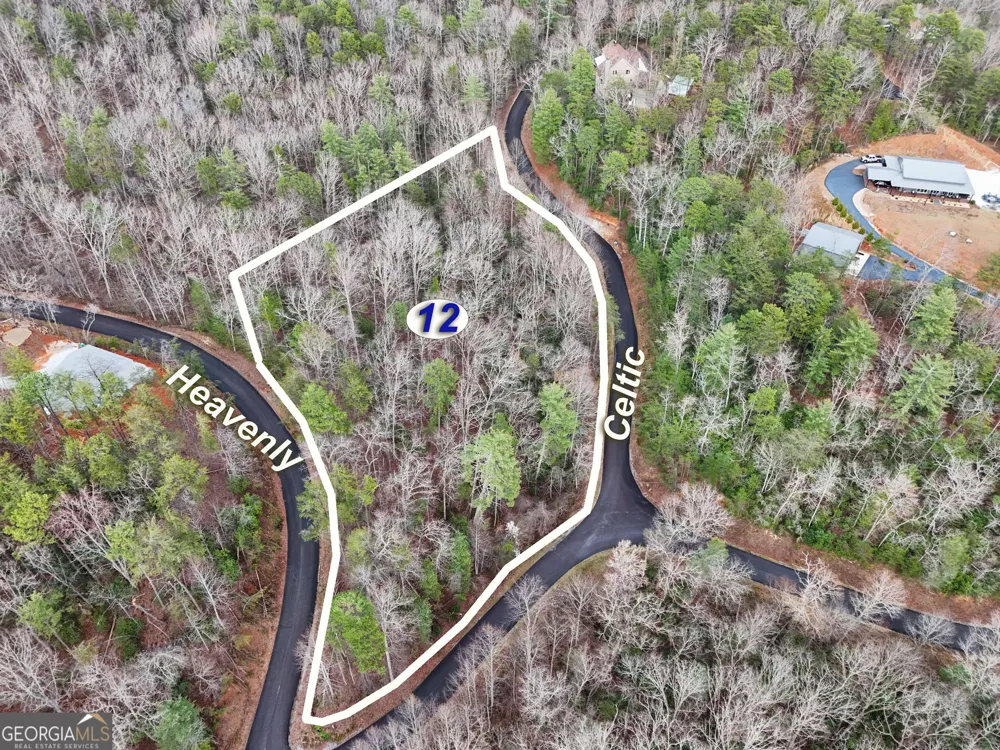 0 Heavenly CIR Clayton, GA 30525
