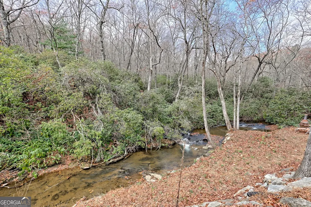 7829 Dillard RD Scaly Mtn, NC 28775