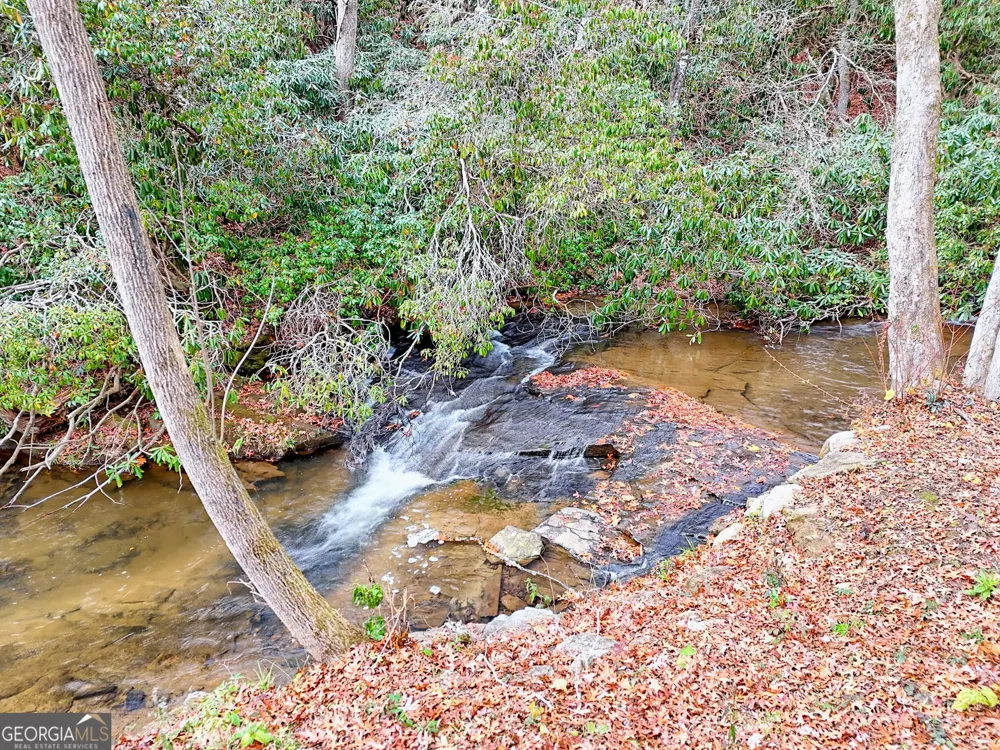 7829 Dillard RD Scaly Mtn, NC 28775