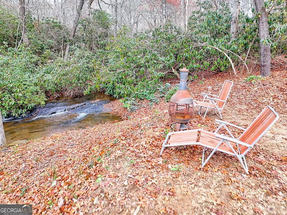 7829 Dillard RD Scaly Mtn, NC 28775