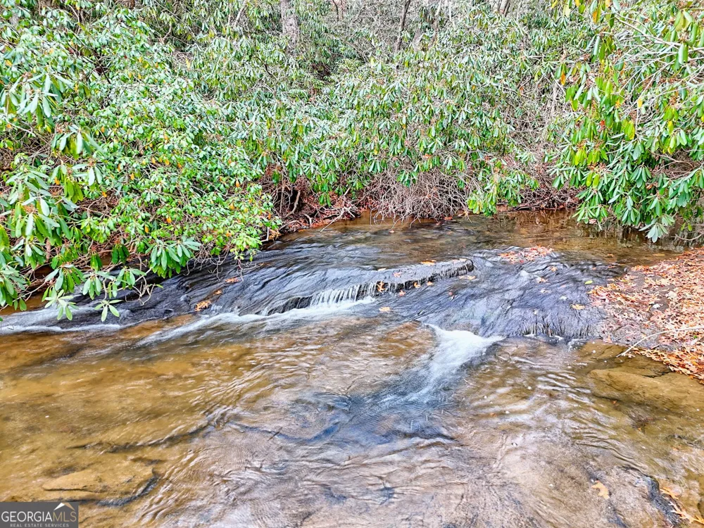 7829 Dillard RD Scaly Mtn, NC 28775