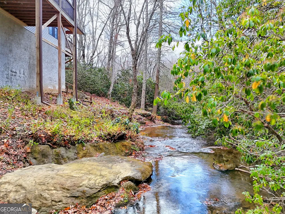 7829 Dillard RD Scaly Mtn, NC 28775