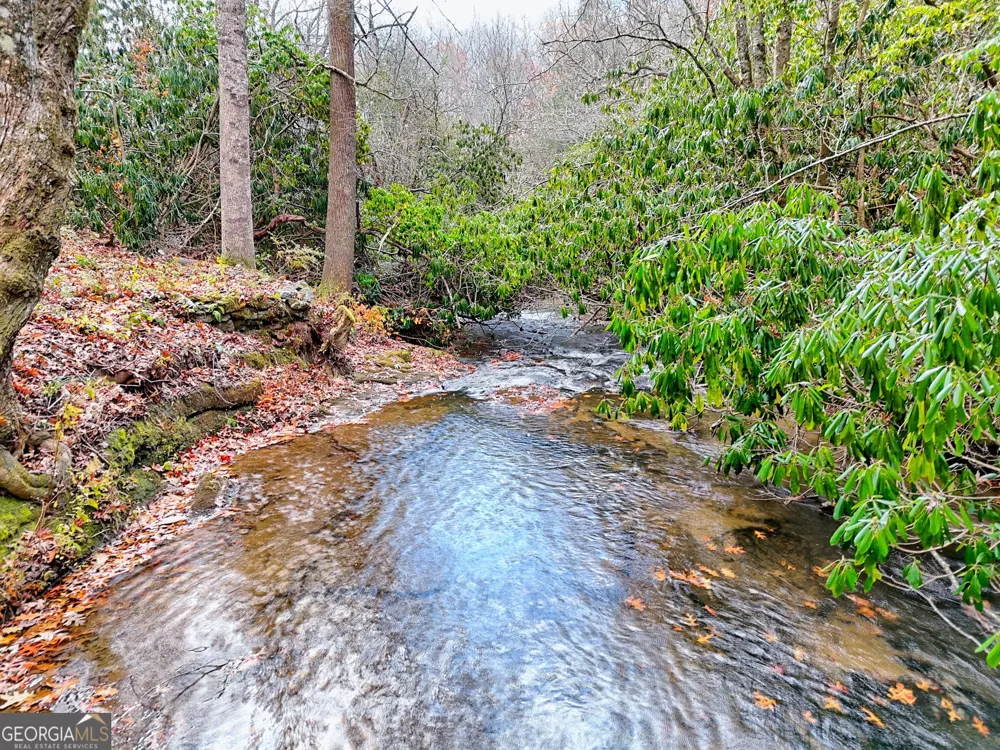 7829 Dillard RD Scaly Mtn, NC 28775