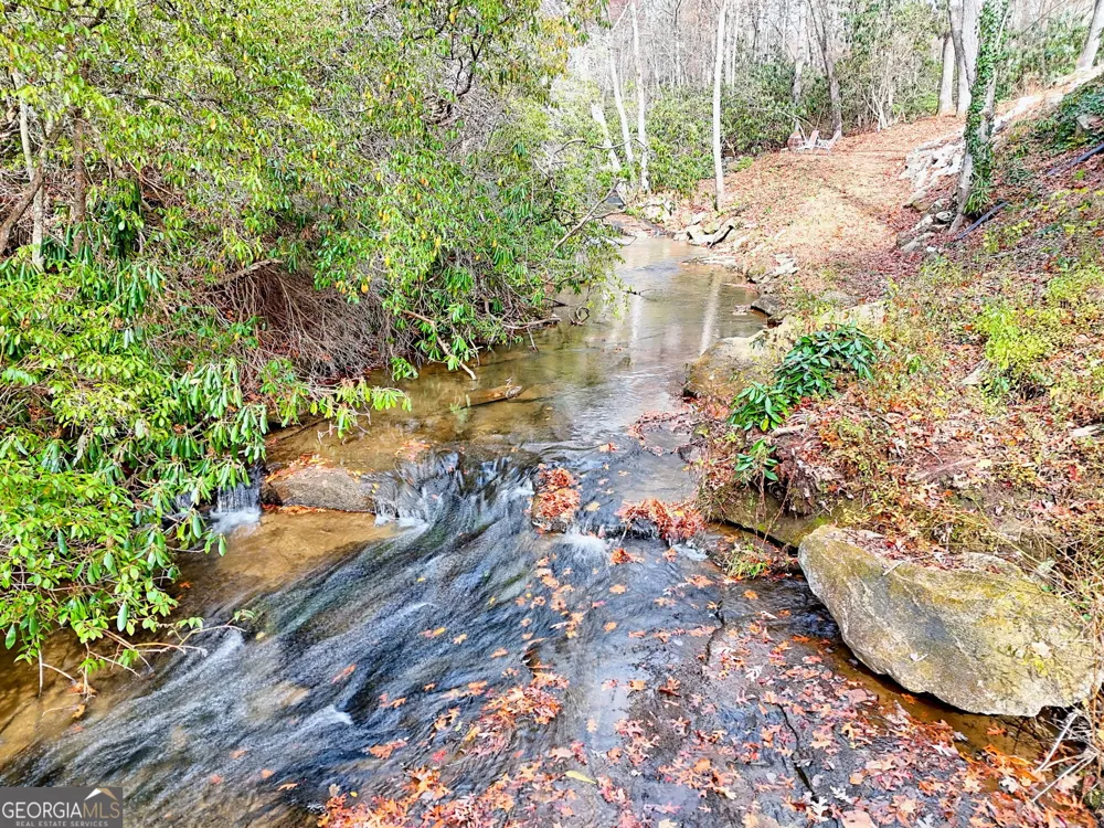 7829 Dillard RD Scaly Mtn, NC 28775