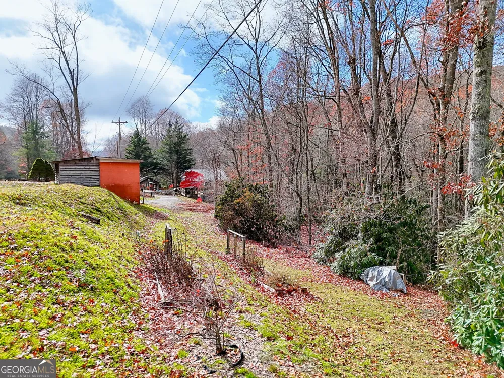 7829 Dillard RD Scaly Mtn, NC 28775