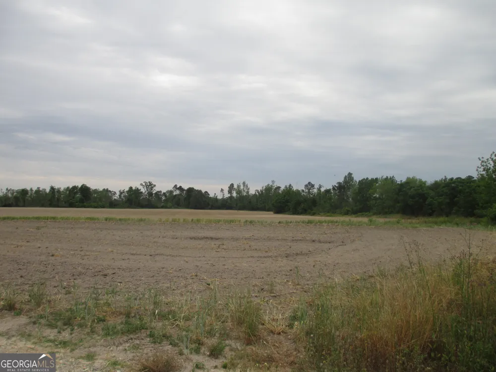 08600022T1 Redbird RD Lumber City, GA 31549
