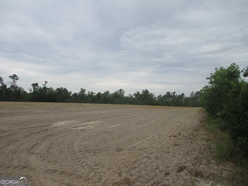 08600022T1 Redbird RD Lumber City, GA 31549