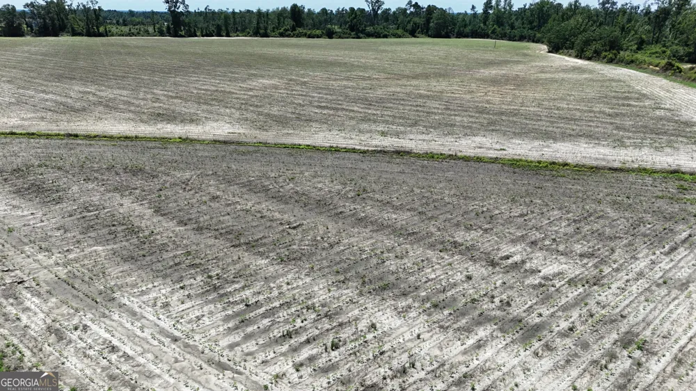 08600022T1 Redbird RD Lumber City, GA 31549