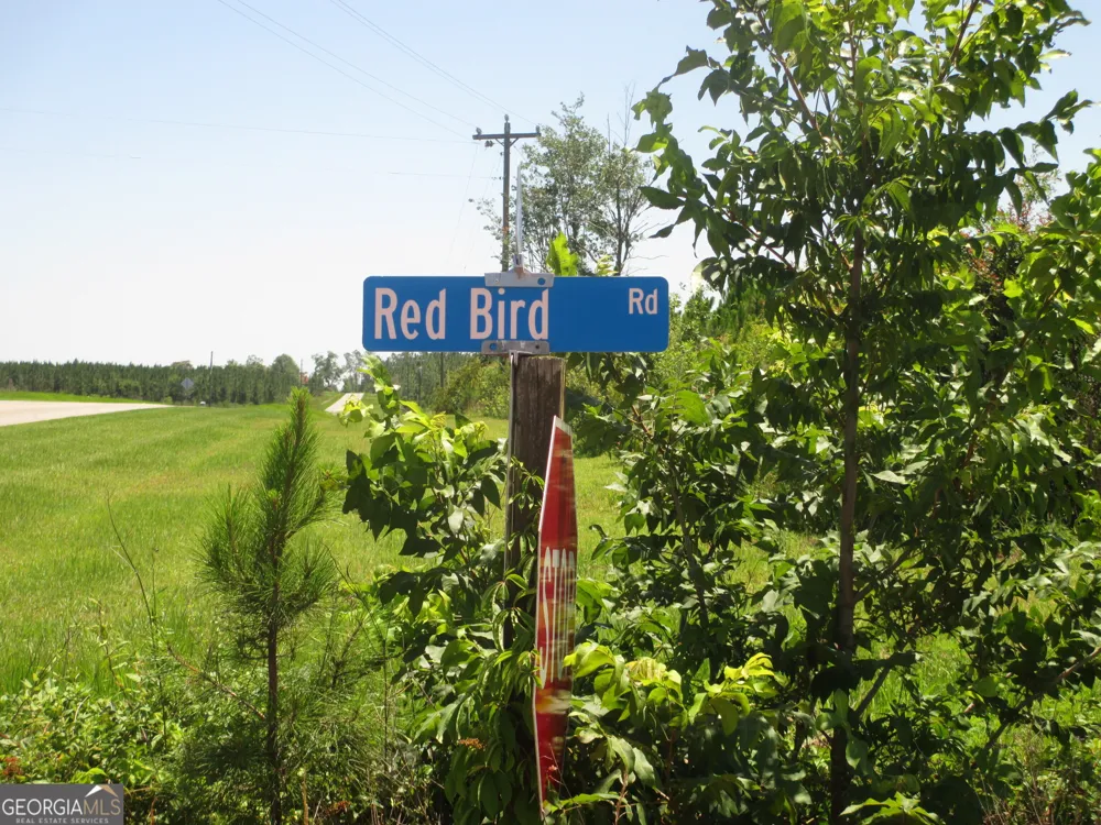 08600022T1 Redbird RD Lumber City, GA 31549
