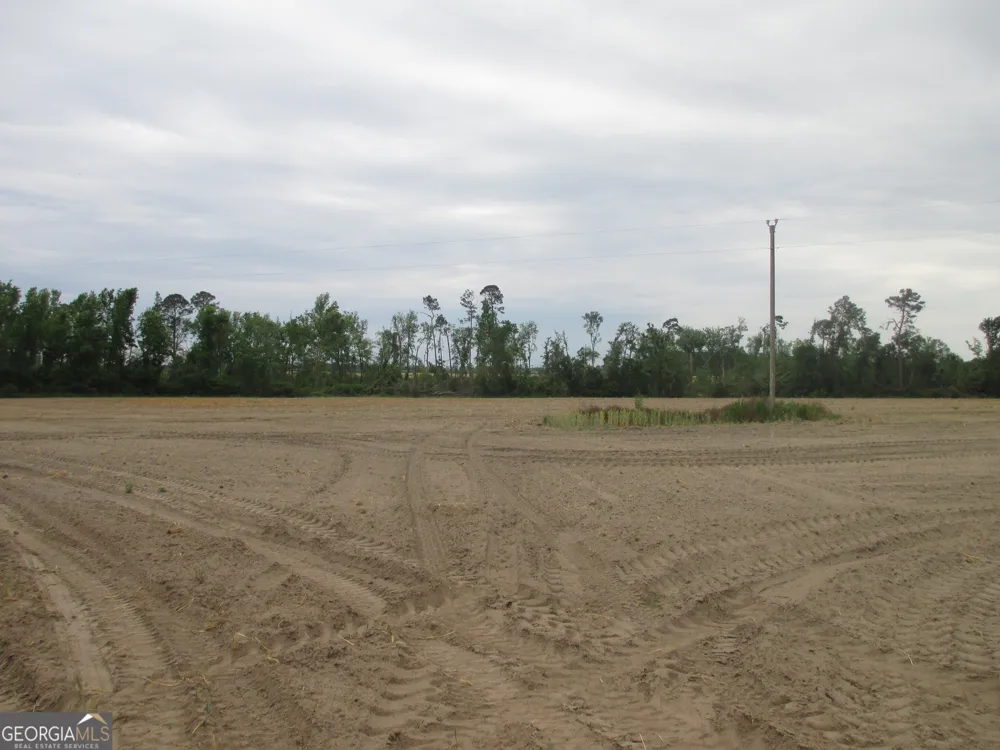 08600022T3 Redbird RD Lumber City, GA 31549