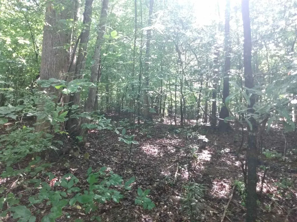 0 Bow DR Lavonia, GA 30553