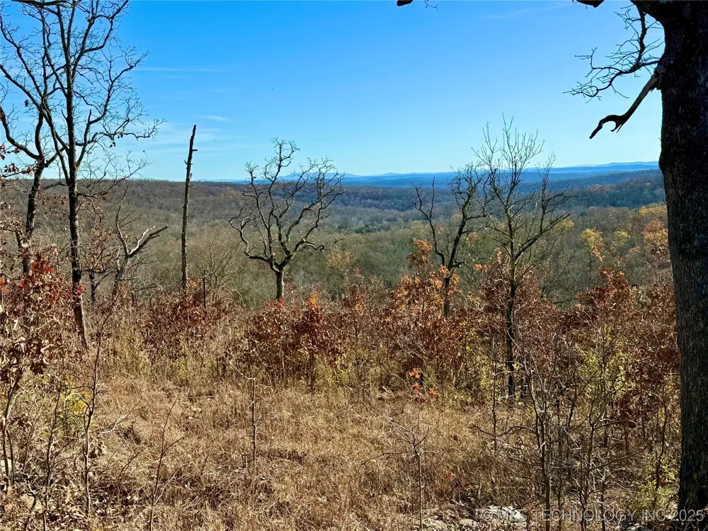 4540 Rd S Vian, OK 74962