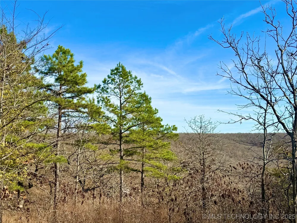 4540 Rd S Vian, OK 74962