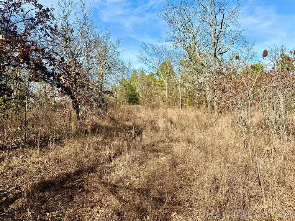 4540 Rd S Vian, OK 74962