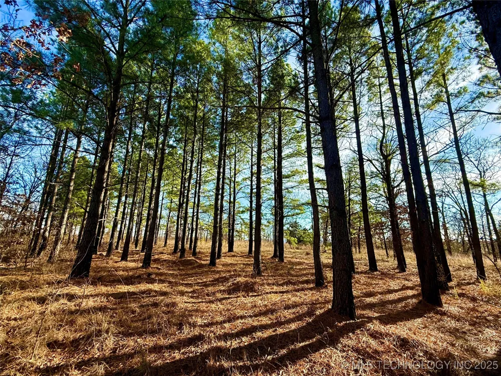 4540 Rd S Vian, OK 74962
