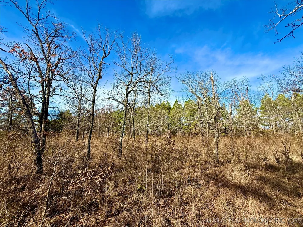 4540 Rd S Vian, OK 74962