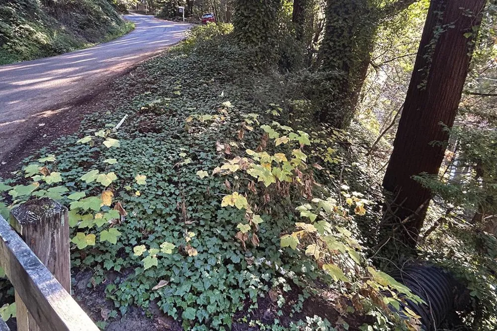Riverside Road Brookdale, CA 95007